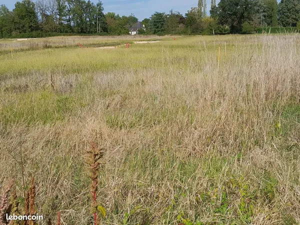 Terrain 750 m² Cadaujac 