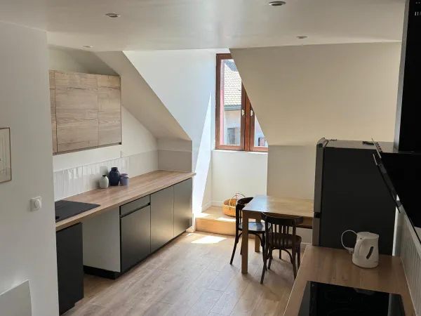 Loue T3 duplex meublé 77m² Menthon St Bernard 