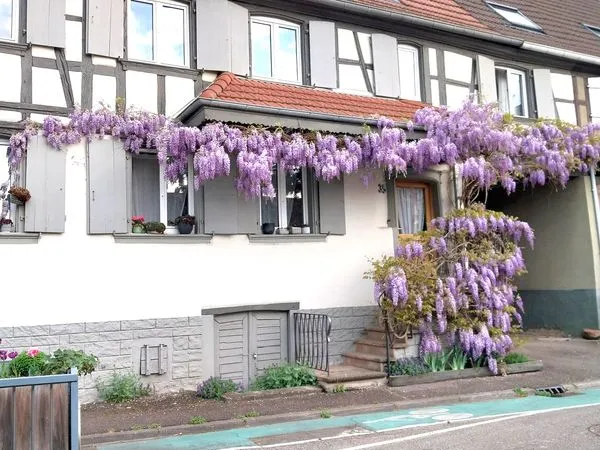 Grande maison familiale rénovée de 186 m2 avec dépendances et jardin arboré 