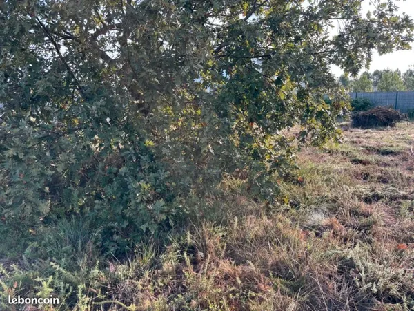 Terrain 513 m² Seignosse 
