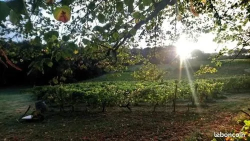 Terrain 828 m² Salleboeuf 