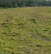 Terrain 590 m² Parentis En Born 