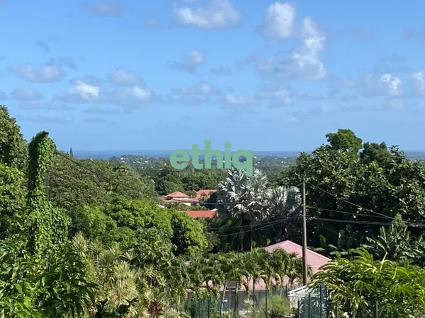 À VENDRE : Superbe terrain avec vue sur mer à Marie-Galante ! 