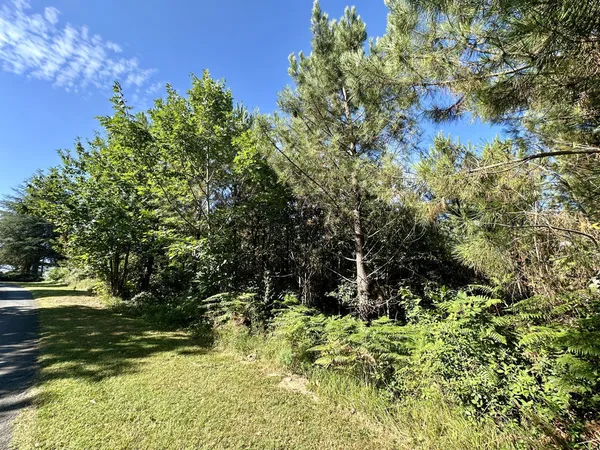 Terrain de 2241 m2 à Marquay 