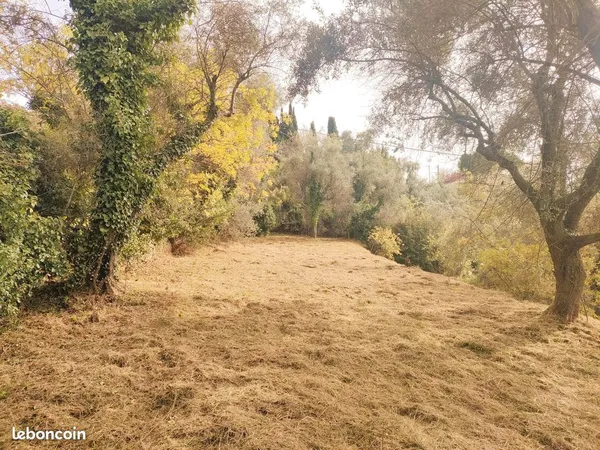 Beau terrain pour loisirs ou agriculture 