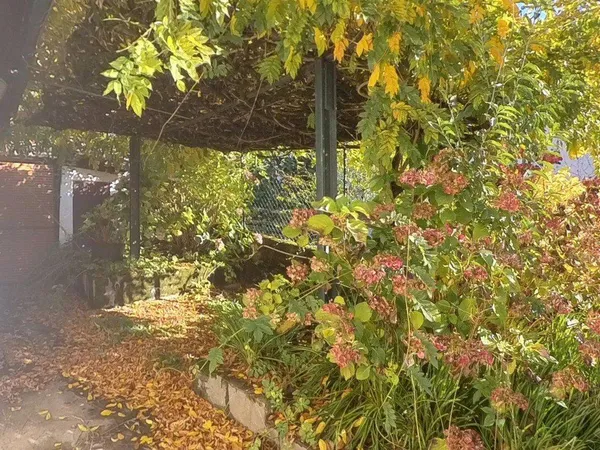 Propriété 