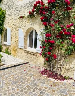 Proche Bordeaux- appt 2 ch - meublé - grand et lumineux- parking + jardin - Bordeaux-Floirac (33) 