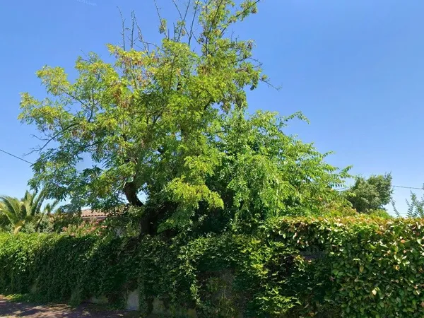 Terrain 401 m² 