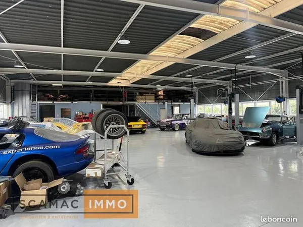 Local d'activité 999 m² 