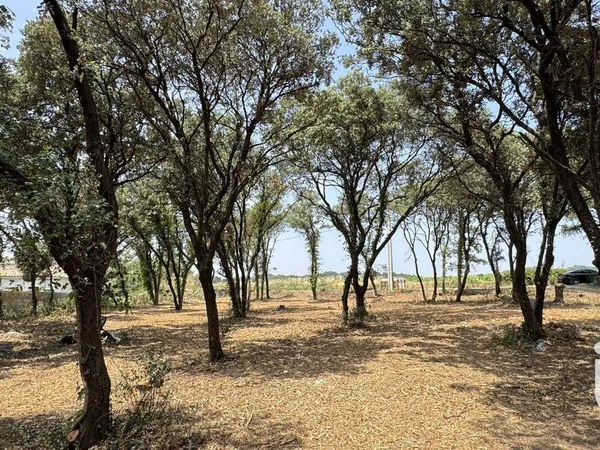 Propriété 120 m² 