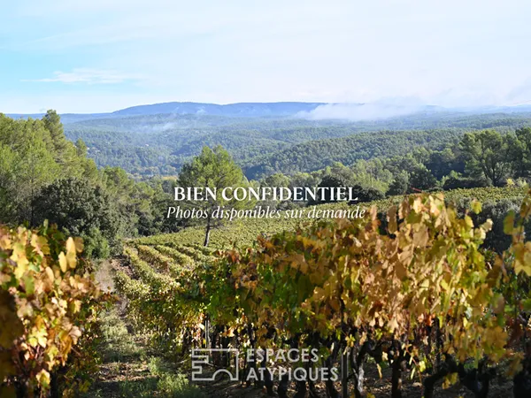 Château de caractère héritage provençal viticole 