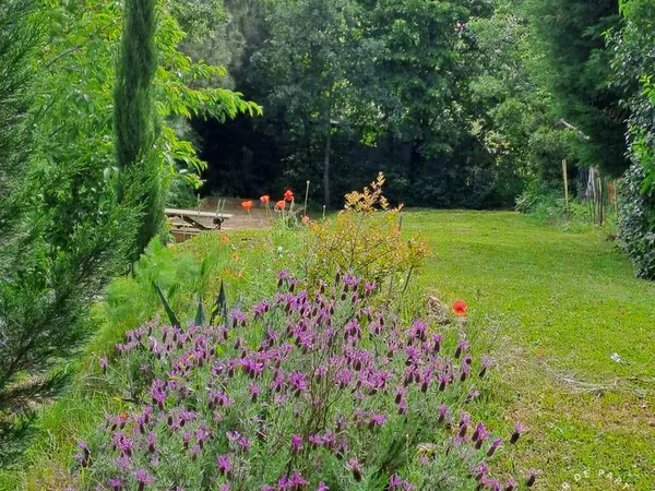 Terrain 504 m² 