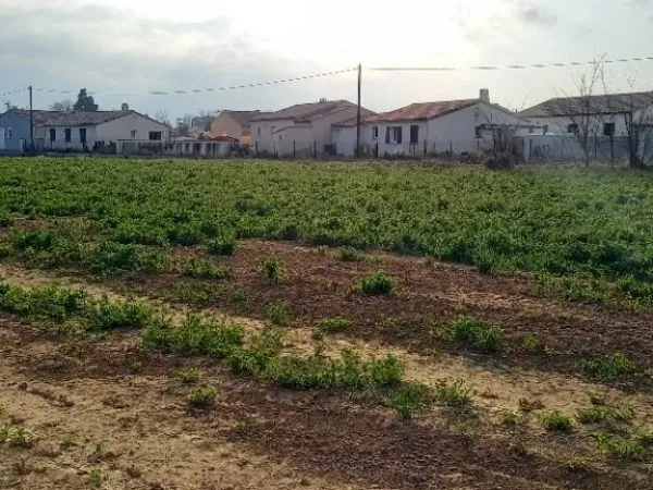 Terrain 521 m² 