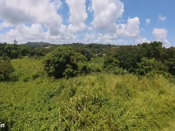 Terrain 900 m² LE ROBERT 