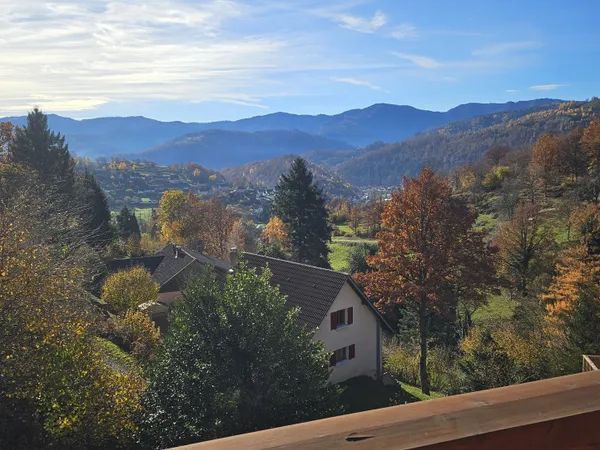 Magnifique chalet 