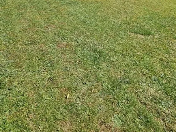 Terrain 544 m² 