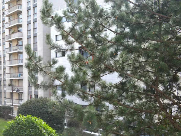 Parking 8 m² 