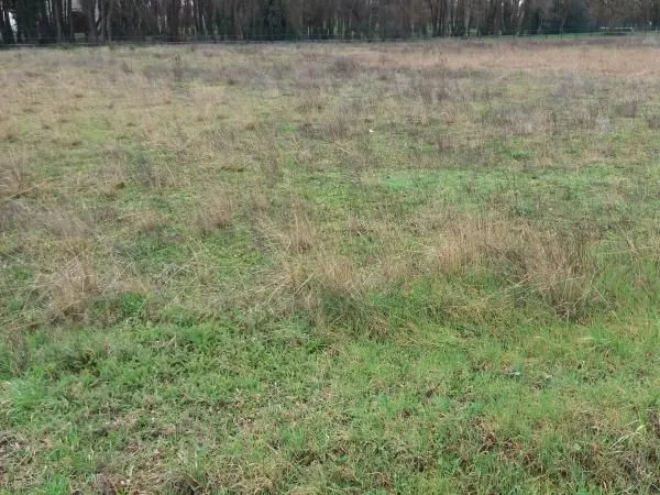 Terrain 800 m² Bonnetan 