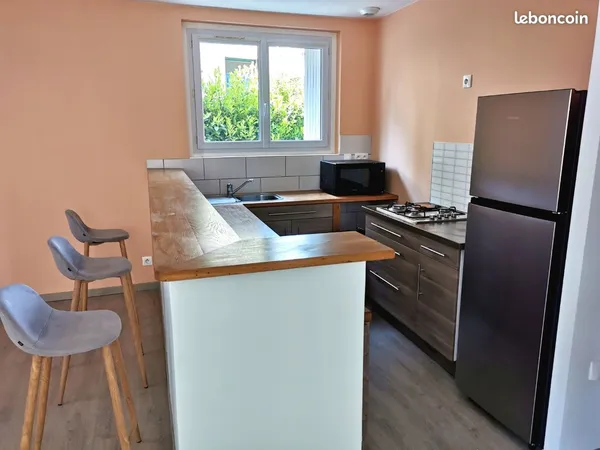 Appartement meublé RDC 52m2 Centre Firminy 