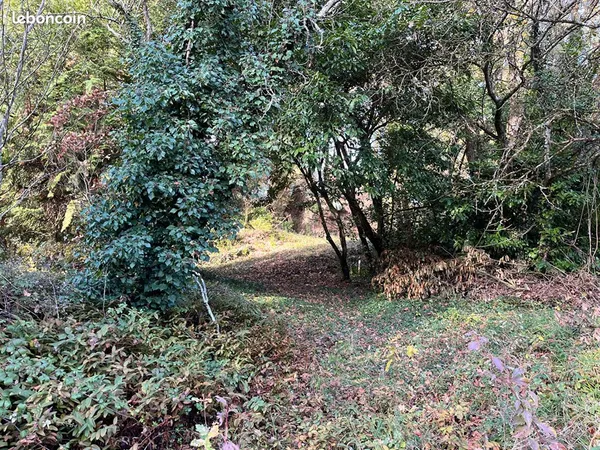 Terrain 5794 m² ST EPAIN 
