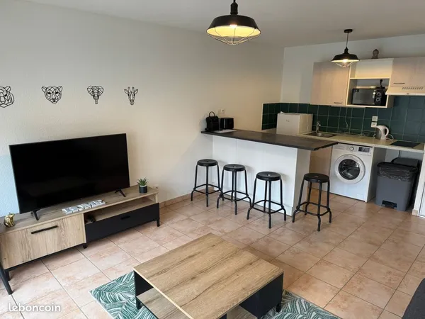 Location meublée T2 Annemasse proche gare + parking + piscine 