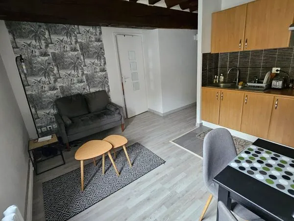 Bel appartement T2 rénové - charme de l'ancien 