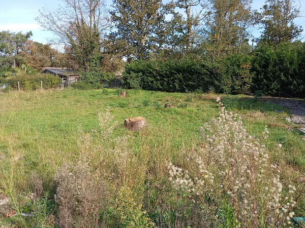 Terrain 600 m² 