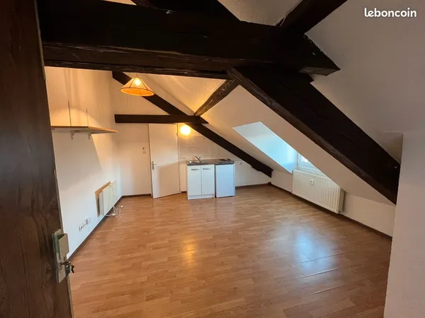 Magnifique STUDIO mansardé 30 m2 45 rue de Sélestat STRASBOURG NEUDORF 