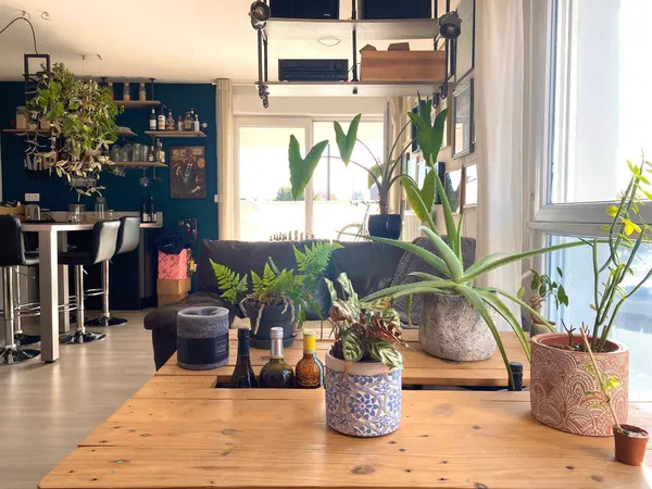 Location Courte (3-4 mois) - Appartement 50m² - Nantes Zola Dervallières 
