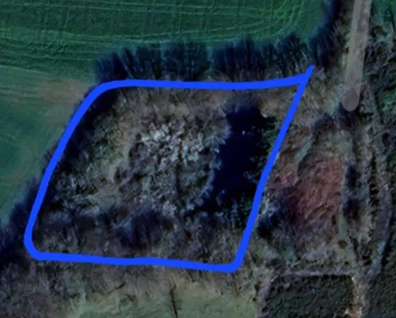 Joli terrain boisé 