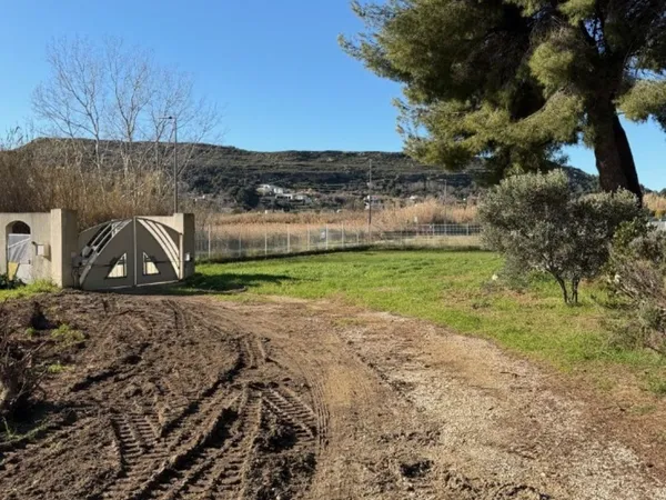 Terrain 901 m² 