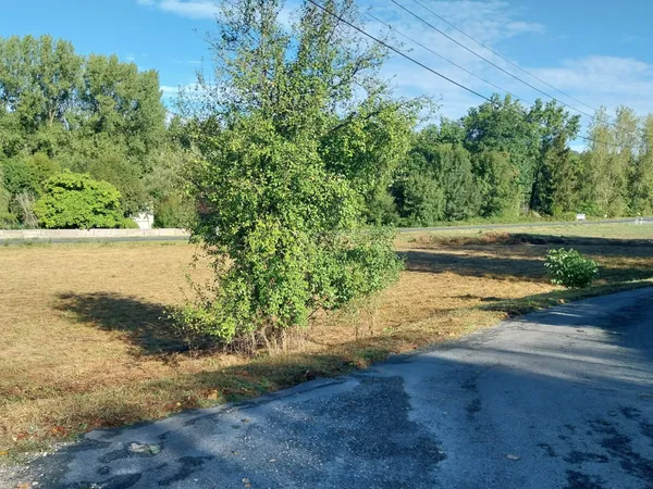 CHANCELADE Terrain plat et constructible 1600 m2 