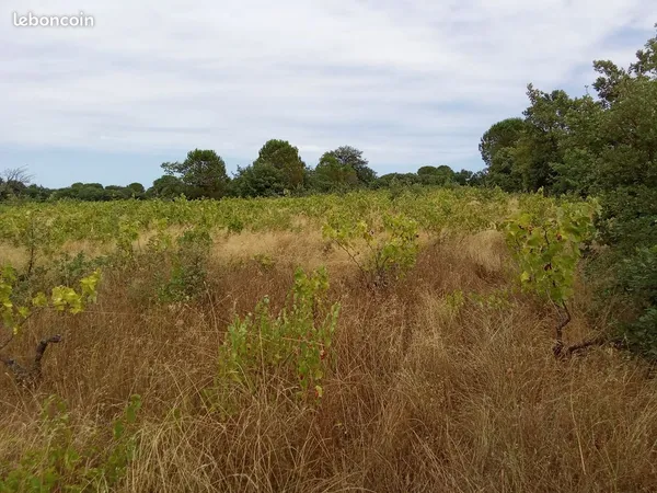 Vends terrain agricole 