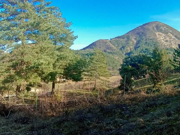 Propriété 1 pièce 