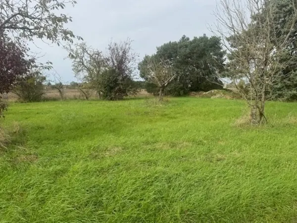 Terrain 560 m² 