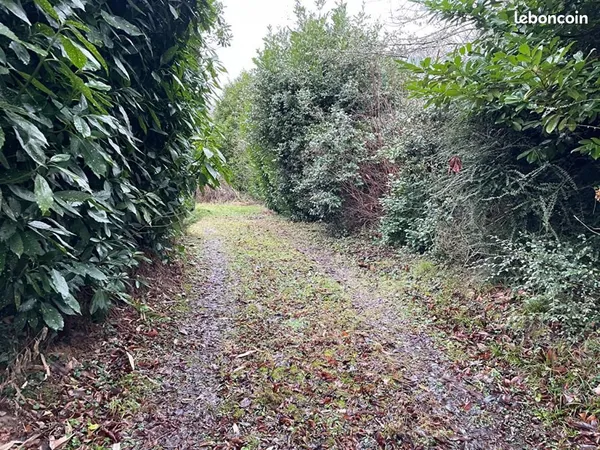 Terrain 1 406 m² Villiers Saint Denis 