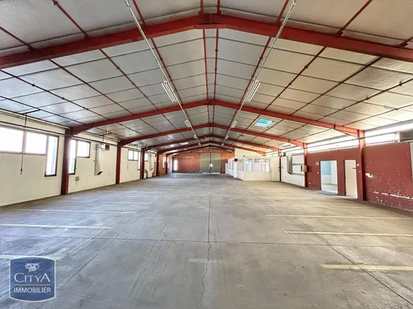 Local 1000 m² 
