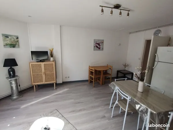 Bel appartement T2 centre ville 