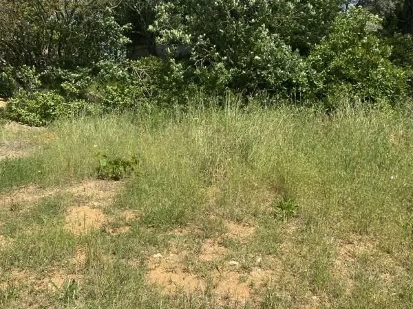 Terrain 600 m² Saint Maximin La Sainte Baume 