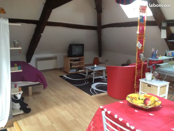 Studio loft meublé Poitiers centre ville 