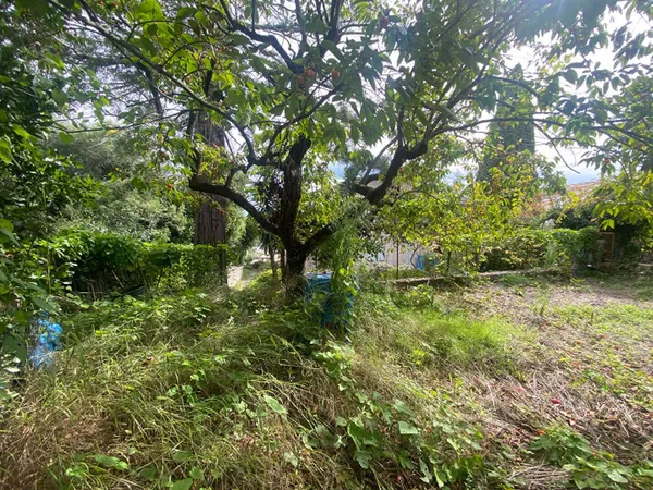 Terrain 100 m² 