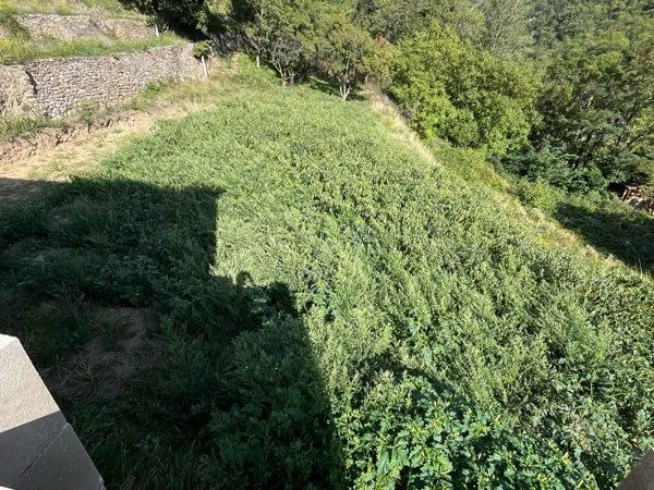 Particulier vend terrain 4 faces 