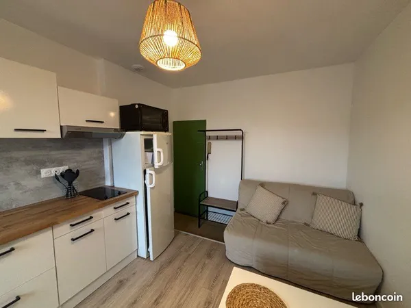 Appartement T2 meublé refait à neuf - Hyper centre Angers (Rue Voltaire) 