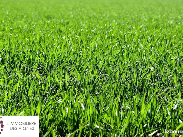 Terrain 620 m² Martillac 