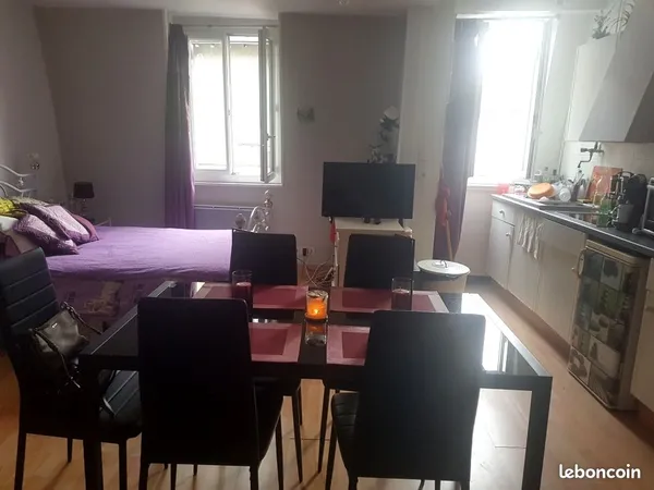 Studio meublé 29 m² - Immeuble ancien - Calme - Machine à laver - Orléans centre 