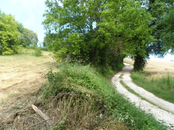 Terrain 6800 m² 