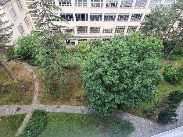 Appartement 3 pièces 87 m² 