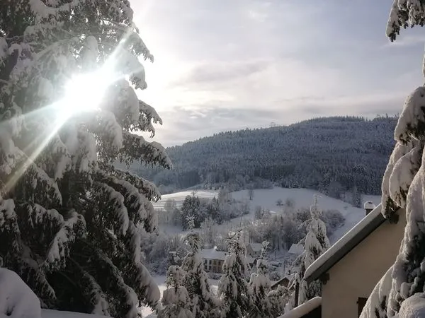 Maison atypique au coeur de la nature et proche des grandes villes - Steige 