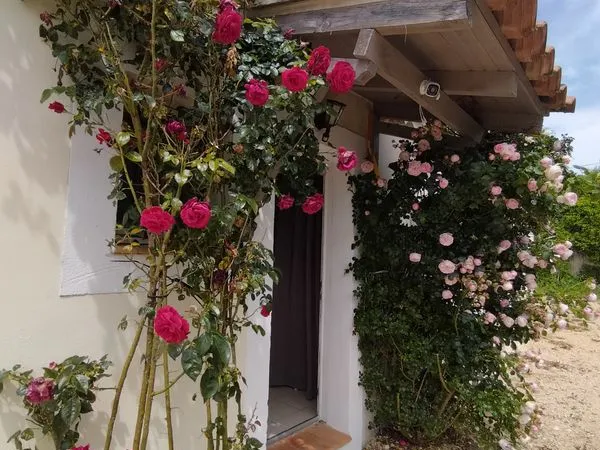 Location maison plein pied 