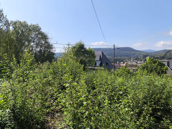Terrain de 801 m2 à vendre à Guebwiller, libre de constructe 